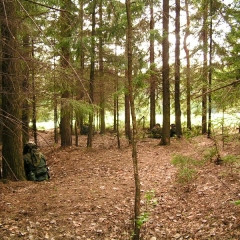 Ангола-2005-185