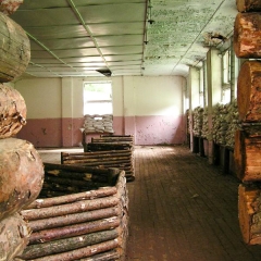 Ангола-2005-64