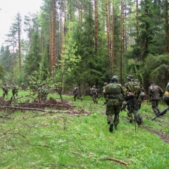 Ангола-2006-55-2