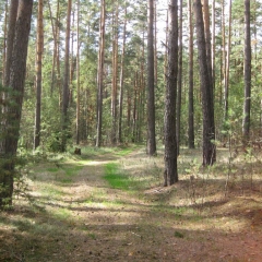 Закрытие-Сезона-2010-2-16