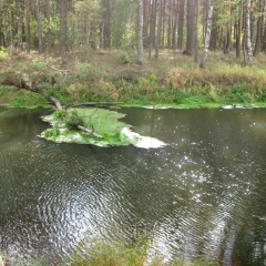 Закрытие-Сезона-2010-2-18