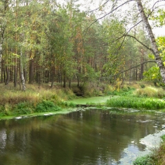 Закрытие-Сезона-2010-2-19