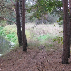 Закрытие-Сезона-2010-2-21
