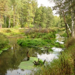 Закрытие-Сезона-2010-2-57