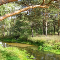 Закрытие-Сезона-2010-2-59