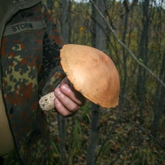 Закрытие-Сезона-2012-0178