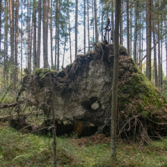 Закрытие-Сезона-2012-0465