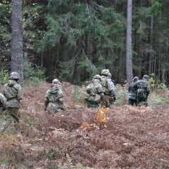Сезона-2013-324