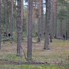 Сезона-2013-574