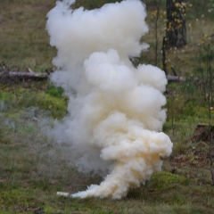 Сезона-2013-584