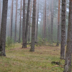 Сезона-2013-599