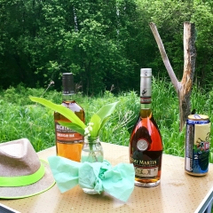 Линия-Фронта-2017-2