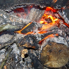 Ночная-Тренировка-29-марта-2008-0642