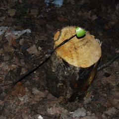 Ночная-Тренировка-29-марта-2008-0679