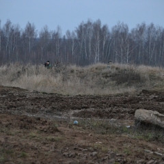 Уран-23-ноября-2013-593