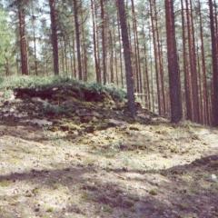 Открытие-Сезона-1-июня-2002-Санкт-Петербург-Эдельвейс-21