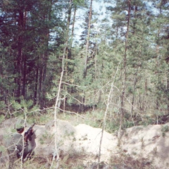 Открытие-Сезона-1-июня-2002-Санкт-Петербург-Эдельвейс-29
