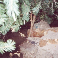 Открытие-Сезона-1-июня-2002-Санкт-Петербург-Эдельвейс-30