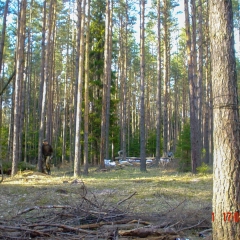 Открытие-Сезона-2004-Москва-171