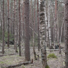 Открытие-сезона-2005-0092