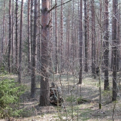 Открытие-сезона-2005-0094