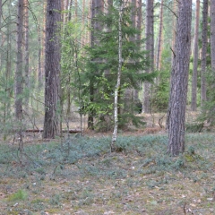 Открытие-Сезона-2012-2-172