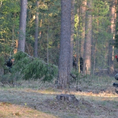 Открытие-Сезона-2012-2-535