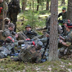 Сезона-2014-0613