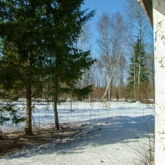 Тренировка-27-марта-2010-с-Британским-Блоком-89