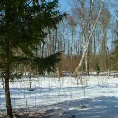 Тренировка-27-марта-2010-с-Британским-Блоком-90