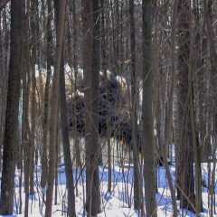 Тренировка-в-Лыткарино-23-февраля-2003-200311