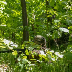 Тренировка-в-Лыткарино-25.05.2003-92