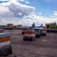 Тренировка-в-Отраде-23-июня-2002-00175
