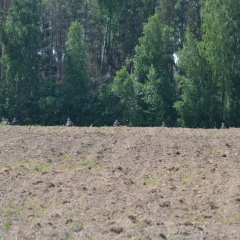 Strike-Show-15-июня-2013-Полигон-22ЧЕ22-358