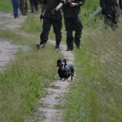 Strike-Show-15-июня-2013-Полигон-22ЧЕ22-427