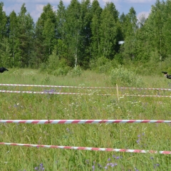 Strike-Show-15-июня-2013-Полигон-22ЧЕ22-892